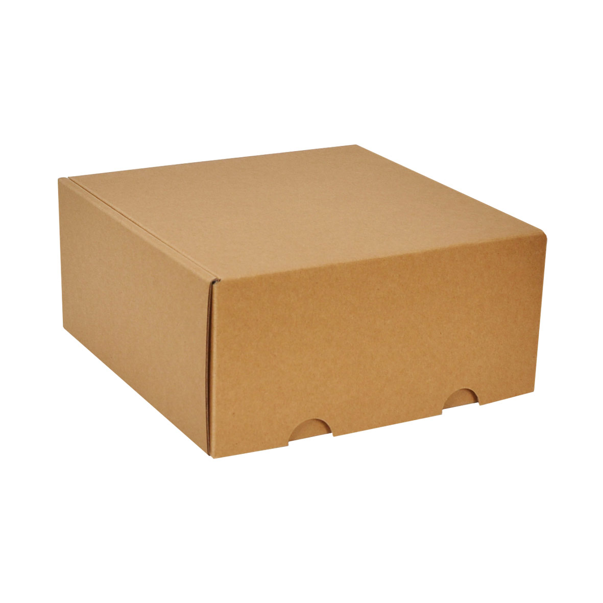 Boîte d'expédition avec adhésif carton kraft 10x11x8cm - par 100 - RETIF